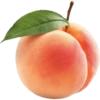 Buah / fruit 22