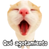 Frases de gatito #2🐱💬 16