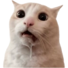 Gatitos para el chat 🫪 14