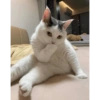 Nervous Bite