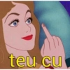 teu cu