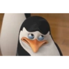 Pinguim  16