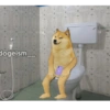 Hogeism