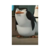 Pinguim  12