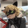 Cat noir 14