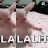 Kucing tulalit cik 😹 8