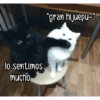 lo sentimos mucho "gran hijuepu-"
