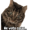 He visto cosas...