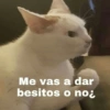 Me vas a dar besitos o no¿
