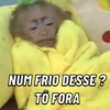 Macaquinhos memes 🤣🙈 6