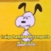 traigo hambre de romperte el hocico