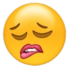 EMOJIS ESPECIAIS 😅 16