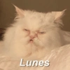 Lunes