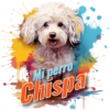 Mi perro Chispa