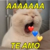 AAAAAAA TE AMO