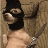 Memes Ramdons 14