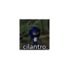 Shitpost Bonito 🤙 15