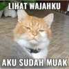 LIHAT WAJAHKU AKU SUDAH MUAK