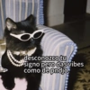 desconozco tu signo pero das vibes como de pndjo.