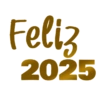 AÑO NUEVO 2025  14