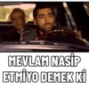 Kolpaçino ezel levha 12