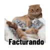 Michi Objeto 🐈‍⬛😽 7