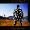 PINK Floyd Delicate Sound of Thunder LIVE