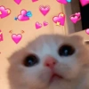 💞💖 AMOR 5 💖💞 7