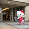 Hello kitty working 13