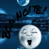 NOE!