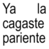 Ya la cagaste pariente