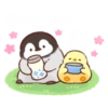 今日もつおと でした