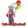Michi Objeto 🐈‍⬛😽 11