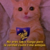 akis FUEGO No eres takis fuego pero la verdad como t me antojas.