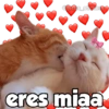 De amor ❤️ 9