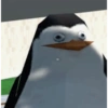 Pinguim  18
