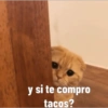 y si te compro tacos?
