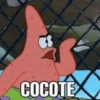 PATRICK 8