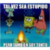 TAL VEZ SEA ESTUPIDO PERO TAMBIÉN SOY TONTO