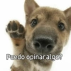 Puedo opinar algo?