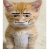 Shitpost de Animalitos 🤑😈 12