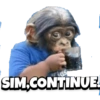 as SIM.CONTINUE.