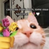 caso não esteja bem, tome essa florzinha!