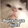 Repite lo que dijiste