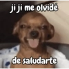 Año Nuevo meme random🎉✨️ 7