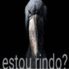 MEMES COM FRASES😂 5
