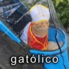 BAIXA ESSAS... 10