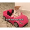 hadi ben kaçarotti