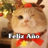 Feliz Año