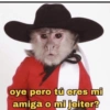 Stickers pal grupo so😎😂 10